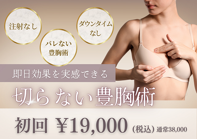 脂肪溶解メニュー